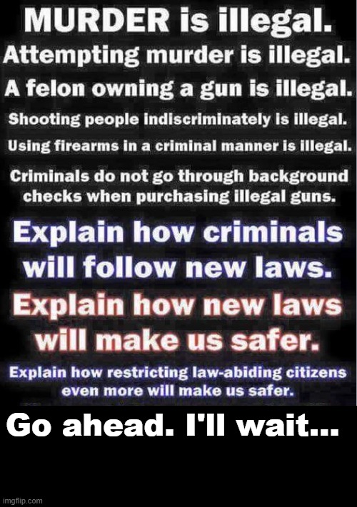 Gun Laws | Go ahead. I'll wait... | image tagged in gun laws,i'll wait | made w/ Imgflip meme maker