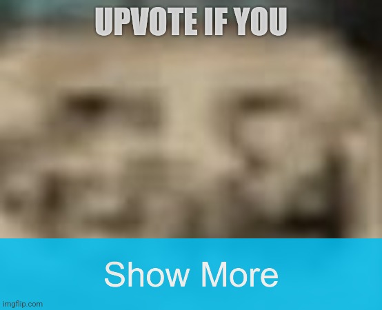 description | UPVOTE IF YOU; LOL NO, DON'T UPVOTE | image tagged in memes,upvote begging | made w/ Imgflip meme maker