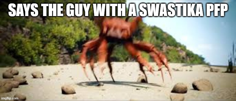crab rave | SAYS THE GUY WITH A SWASTIKA PFP | image tagged in crab rave | made w/ Imgflip meme maker
