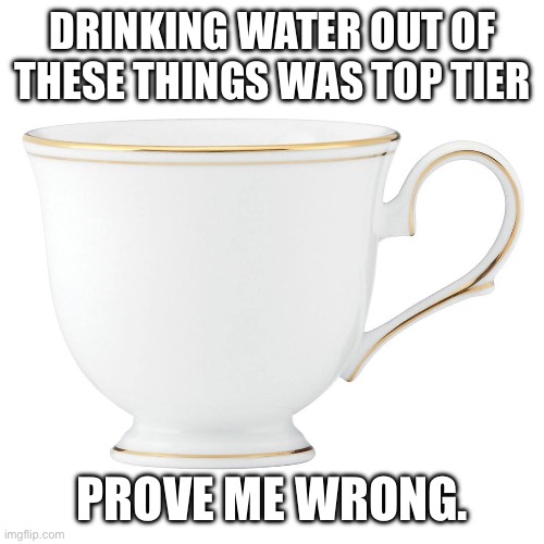 . | DRINKING WATER OUT OF THESE THINGS WAS TOP TIER; PROVE ME WRONG. | image tagged in memes,funny memes,childhood,cup,funny | made w/ Imgflip meme maker