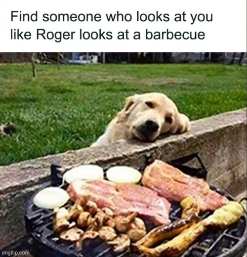 image tagged in doggo,barbecue | made w/ Imgflip meme maker