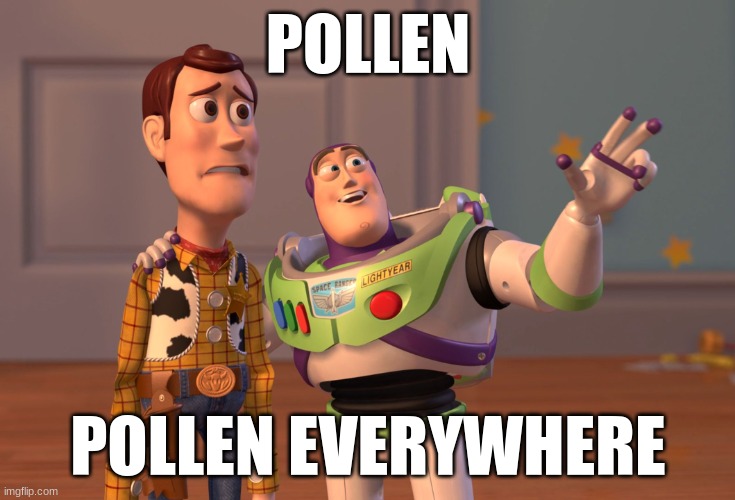 X, X Everywhere | POLLEN; POLLEN EVERYWHERE | image tagged in memes,x x everywhere | made w/ Imgflip meme maker