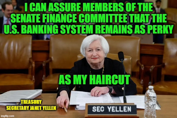 Collapse of Silicon Valley Bank: What, Me Worry? | I CAN ASSURE MEMBERS OF THE SENATE FINANCE COMMITTEE THAT THE U.S. BANKING SYSTEM REMAINS AS PERKY; AS MY HAIRCUT; TREASURY SECRETARY JANET YELLEN | image tagged in us banking system,treasury secretary janet yellen | made w/ Imgflip meme maker