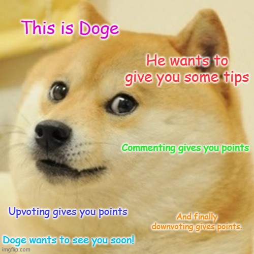 Doge Meme | This is Doge; He wants to give you some tips; Commenting gives you points; Upvoting gives you points; And finally downvoting gives points. Doge wants to see you soon! | image tagged in memes,doge | made w/ Imgflip meme maker