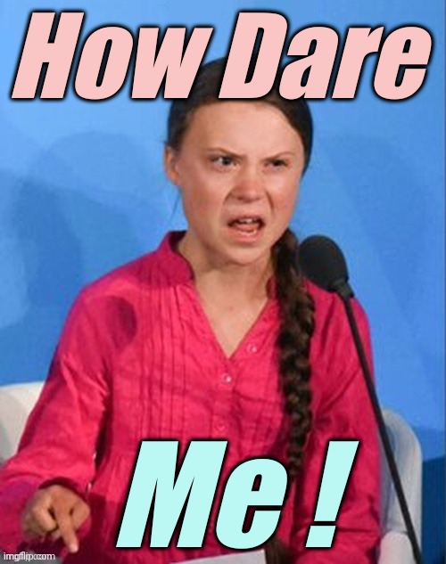 Greta Thunberg, female Tool. How DARE me! | image tagged in greta thunberg female tool | made w/ Imgflip meme maker