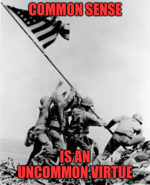 iwo jima | COMMON SENSE IS AN UNCOMMON VIRTUE | image tagged in iwo jima | made w/ Imgflip meme maker