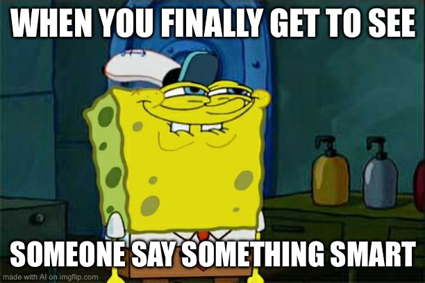 Don't You Squidward Meme | WHEN YOU FINALLY GET TO SEE; SOMEONE SAY SOMETHING SMART | image tagged in memes,don't you squidward | made w/ Imgflip meme maker