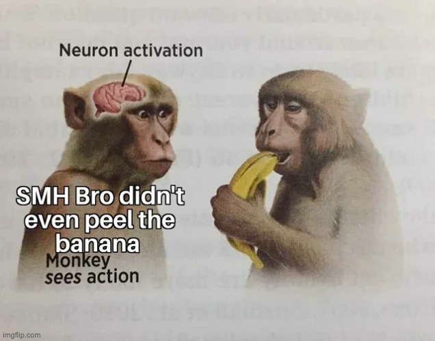 This is how Planet of the apes starts | image tagged in memes,funny | made w/ Imgflip meme maker