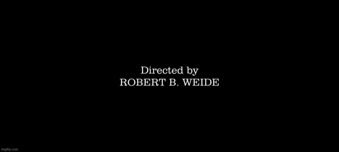 Directed by ROBERT B. WEIDE | image tagged in directed by robert b weide | made w/ Imgflip meme maker