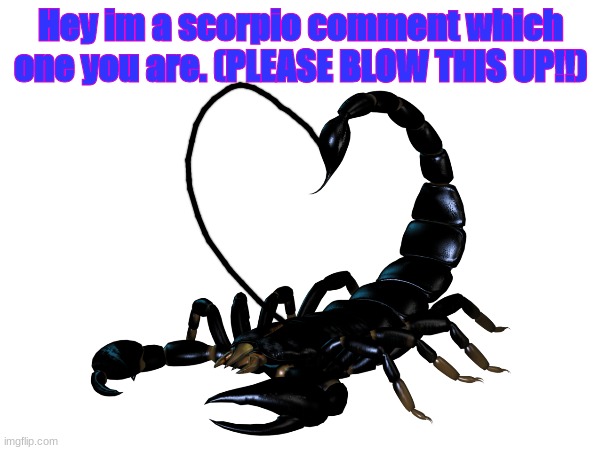 Hey im a scorpio comment which one you are. (PLEASE BLOW THIS UP!!) | made w/ Imgflip meme maker