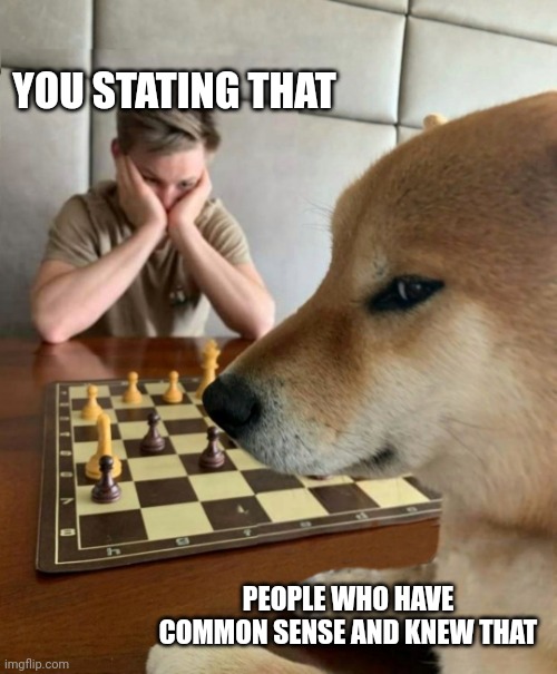 Chess doge | YOU STATING THAT PEOPLE WHO HAVE COMMON SENSE AND KNEW THAT | image tagged in chess doge | made w/ Imgflip meme maker