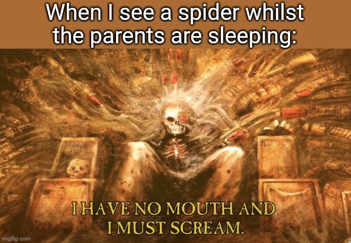 I have no mouth and I must scream | When I see a spider whilst the parents are sleeping: | image tagged in i have no mouth and i must scream | made w/ Imgflip meme maker