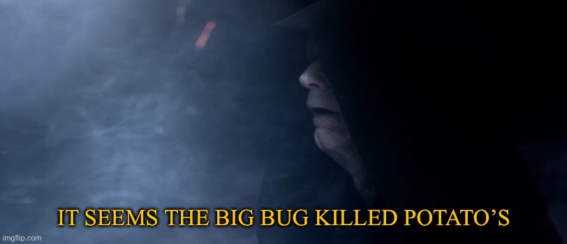 Palpatine it seems in your anger | IT SEEMS THE BIG BUG KILLED POTATO’S | image tagged in palpatine it seems in your anger | made w/ Imgflip meme maker