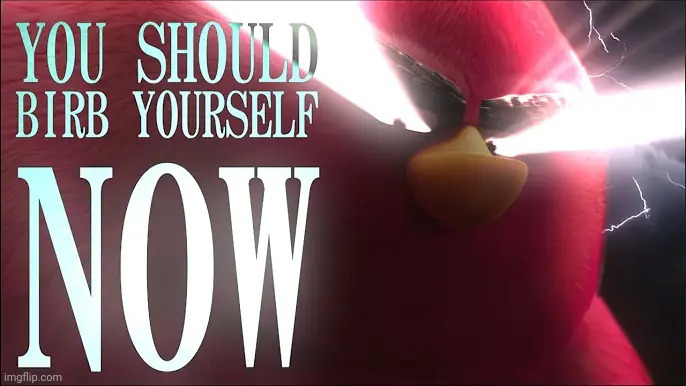 You should birb yourself NOW! | image tagged in you should birb yourself now | made w/ Imgflip meme maker