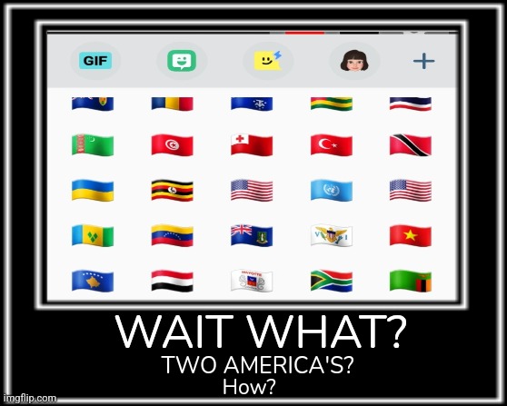 Wait what? | WAIT WHAT? TWO AMERICA'S? How? | image tagged in wait what,american flag,america,memes | made w/ Imgflip meme maker