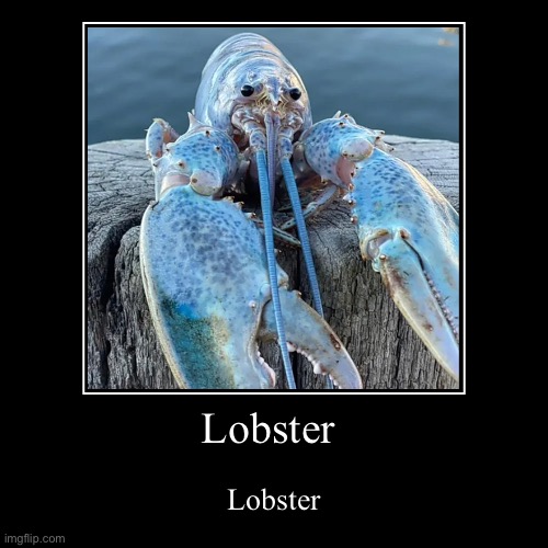 Lobster | image tagged in demotivationals,lobster | made w/ Imgflip demotivational maker