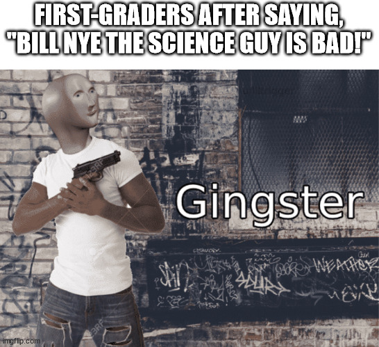 Basically out average 6 and 7 year-olds. | FIRST-GRADERS AFTER SAYING, "BILL NYE THE SCIENCE GUY IS BAD!" | image tagged in gingster | made w/ Imgflip meme maker