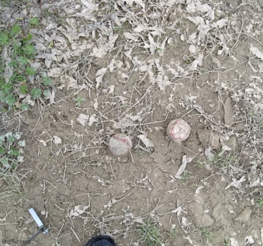and my baseball found itself a friend | made w/ Imgflip meme maker