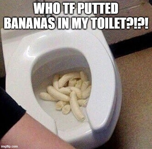 WHO TF PUTTED BANANAS IN MY TOILET?!?! | image tagged in cursed image | made w/ Imgflip meme maker
