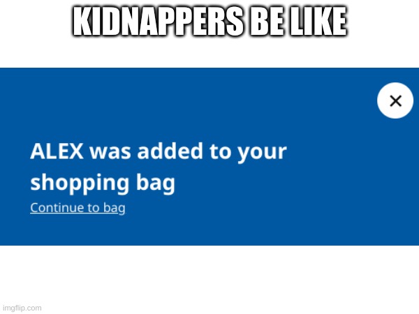 Kidnappers be like | KIDNAPPERS BE LIKE | image tagged in bruh | made w/ Imgflip meme maker