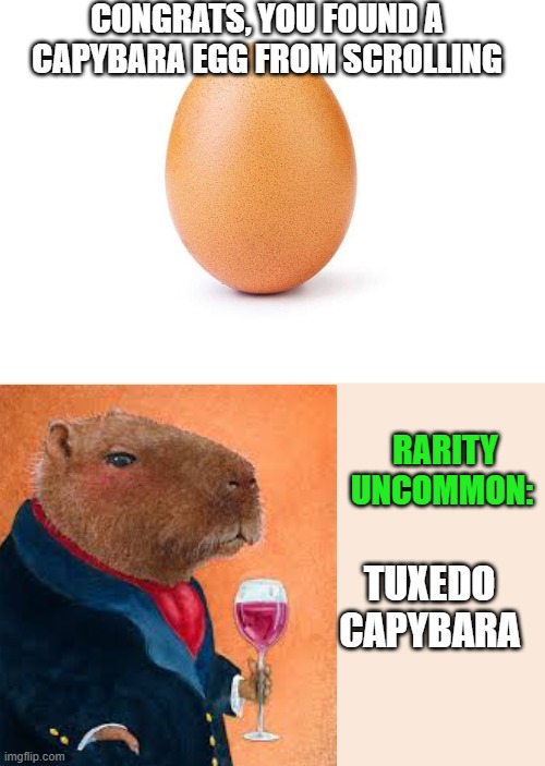 Congrats | CONGRATS, YOU FOUND A CAPYBARA EGG FROM SCROLLING; RARITY
UNCOMMON:; TUXEDO
CAPYBARA | image tagged in eggbert,capybara,funny memes,fun,fyp,funny | made w/ Imgflip meme maker