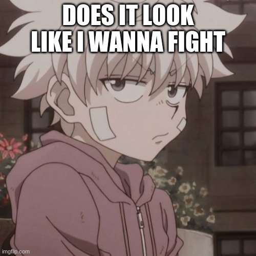 just yes | DOES IT LOOK LIKE I WANNA FIGHT | made w/ Imgflip meme maker