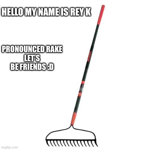 Lol | HELLO MY NAME IS REY K; PRONOUNCED RAKE
LET’S BE FRIENDS :D | image tagged in meme | made w/ Imgflip meme maker