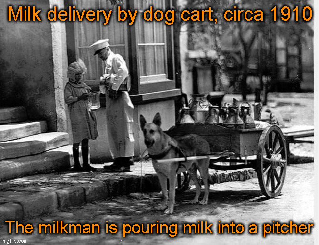 Milkman Pours Once | Milk delivery by dog cart, circa 1910; The milkman is pouring milk into a pitcher | image tagged in history,home delivery | made w/ Imgflip meme maker
