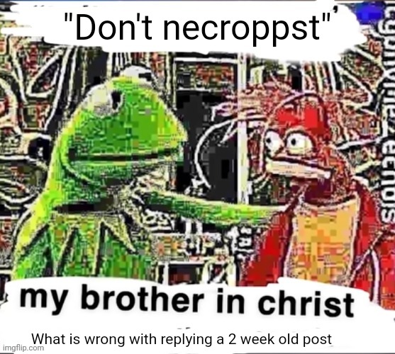 My brother in Christ | "Don't necroppst"; What is wrong with replying a 2 week old post | image tagged in my brother in christ | made w/ Imgflip meme maker