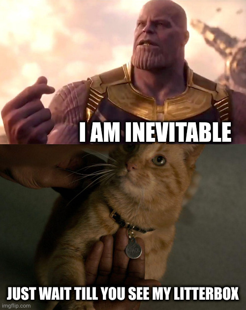 I AM INEVITABLE; JUST WAIT TILL YOU SEE MY LITTERBOX | image tagged in thanos snap,don't jerk with this flerken | made w/ Imgflip meme maker