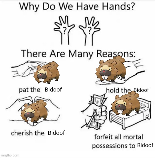 Why do we have hands? (all blank) | Bidoof; Bidoof; Bidoof; Bidoof | image tagged in why do we have hands all blank | made w/ Imgflip meme maker