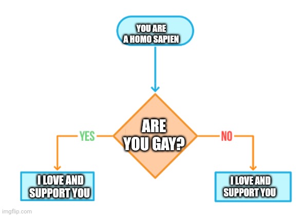 Wholesome meme |  YOU ARE A HOMO SAPIEN; ARE YOU GAY? I LOVE AND SUPPORT YOU; I LOVE AND SUPPORT YOU | image tagged in gay pride | made w/ Imgflip meme maker