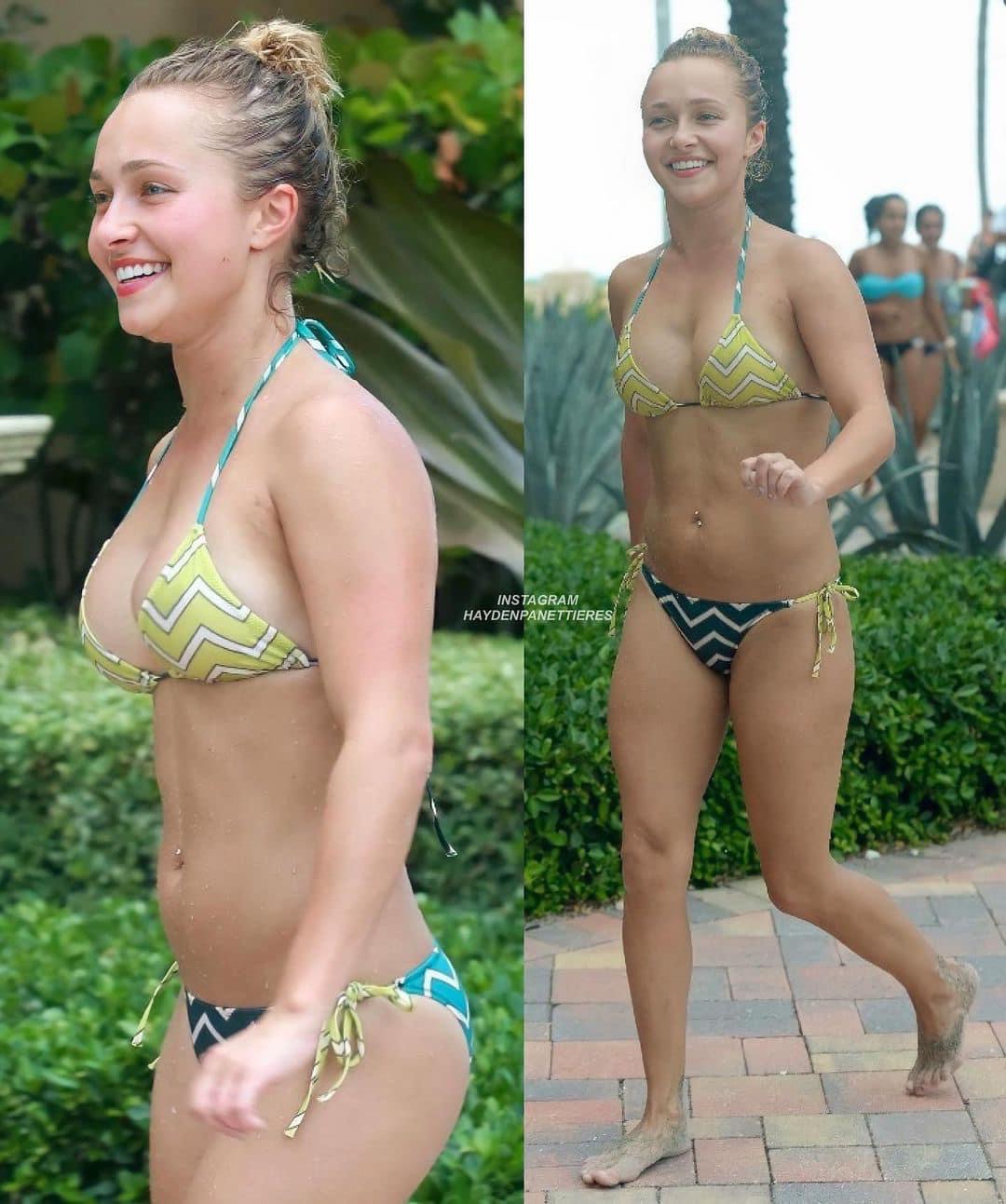 Hayden Panettiere Blank Meme Template