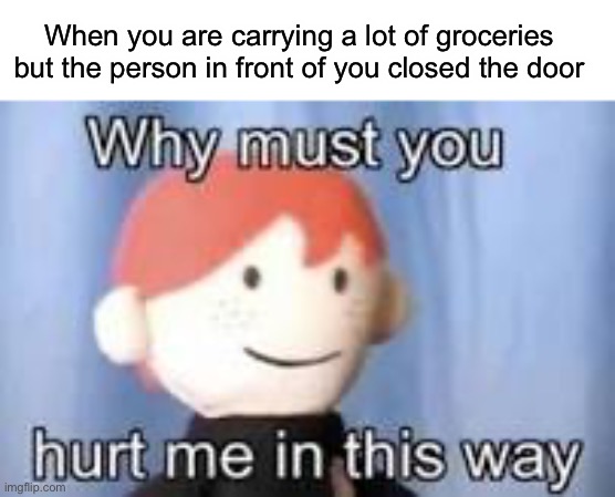 Carrying the groceries | When you are carrying a lot of groceries but the person in front of you closed the door | image tagged in why must you hurt me in this way | made w/ Imgflip meme maker