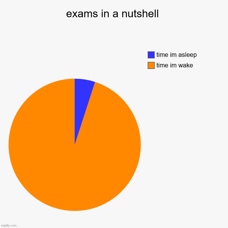 exams in a nutshell | time im wake , time im asleep | image tagged in charts,pie charts | made w/ Imgflip chart maker