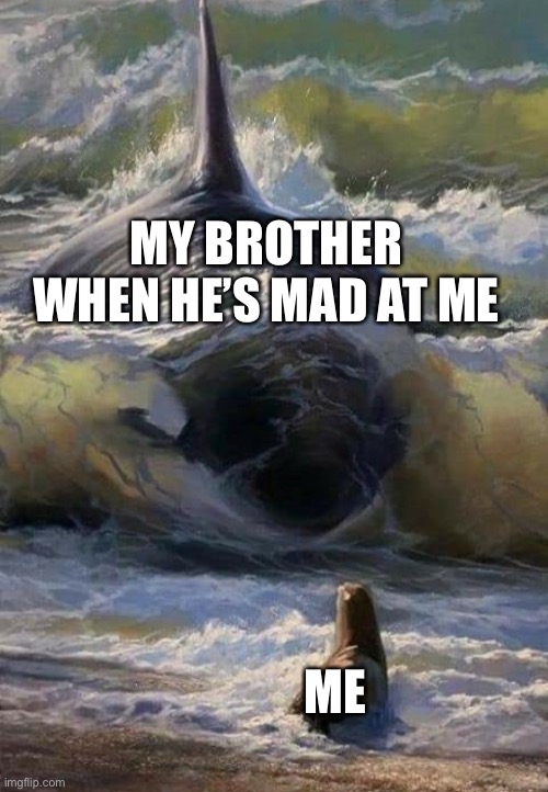 My brother | MY BROTHER WHEN HE’S MAD AT ME; ME | image tagged in orca menacing | made w/ Imgflip meme maker