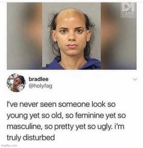 she looks like Aviva from Wild Kratts | made w/ Imgflip meme maker