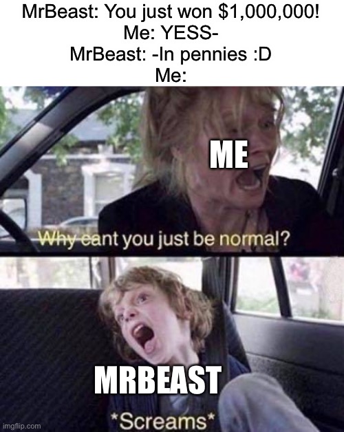 I’ll still take it, it’s $1,000,000 but it’s kinda cringe :v | MrBeast: You just won $1,000,000!
Me: YESS-
MrBeast: -In pennies :D
Me:; ME; MRBEAST | image tagged in why can't you just be normal,funny,money,mrbeast | made w/ Imgflip meme maker