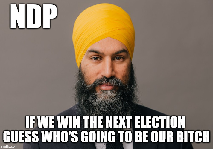 NDP | NDP; IF WE WIN THE NEXT ELECTION 
GUESS WHO'S GOING TO BE OUR BITCH | image tagged in jagmeet,ndp,canada,politics,liberal,we the people | made w/ Imgflip meme maker