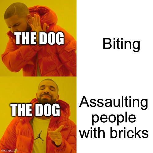 Drake Hotline Bling Meme | Biting Assaulting people with bricks THE DOG THE DOG | image tagged in memes,drake hotline bling | made w/ Imgflip meme maker