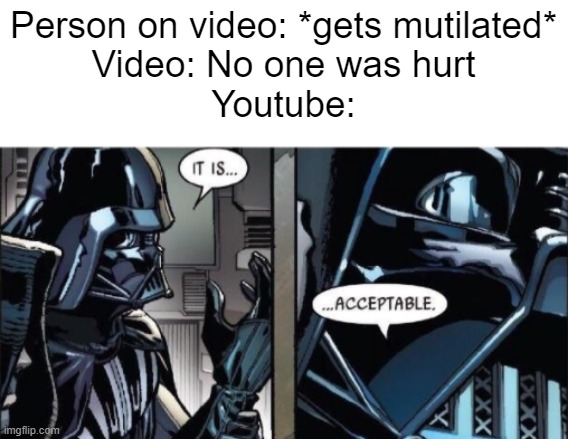 It Is Acceptable | Person on video: *gets mutilated*
Video: No one was hurt
Youtube: | image tagged in it is acceptable | made w/ Imgflip meme maker