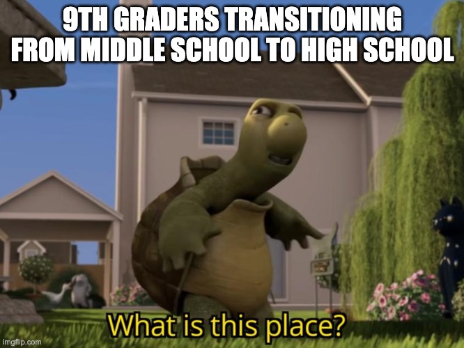 we all know this to be true | 9TH GRADERS TRANSITIONING FROM MIDDLE SCHOOL TO HIGH SCHOOL | image tagged in what is this place | made w/ Imgflip meme maker