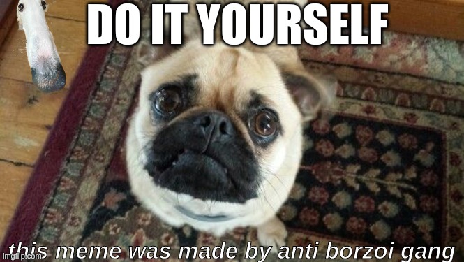 DO IT YOURSELF; this meme was made by anti borzoi gang | image tagged in dog,pug,funny memes,so true memes,do it | made w/ Imgflip meme maker