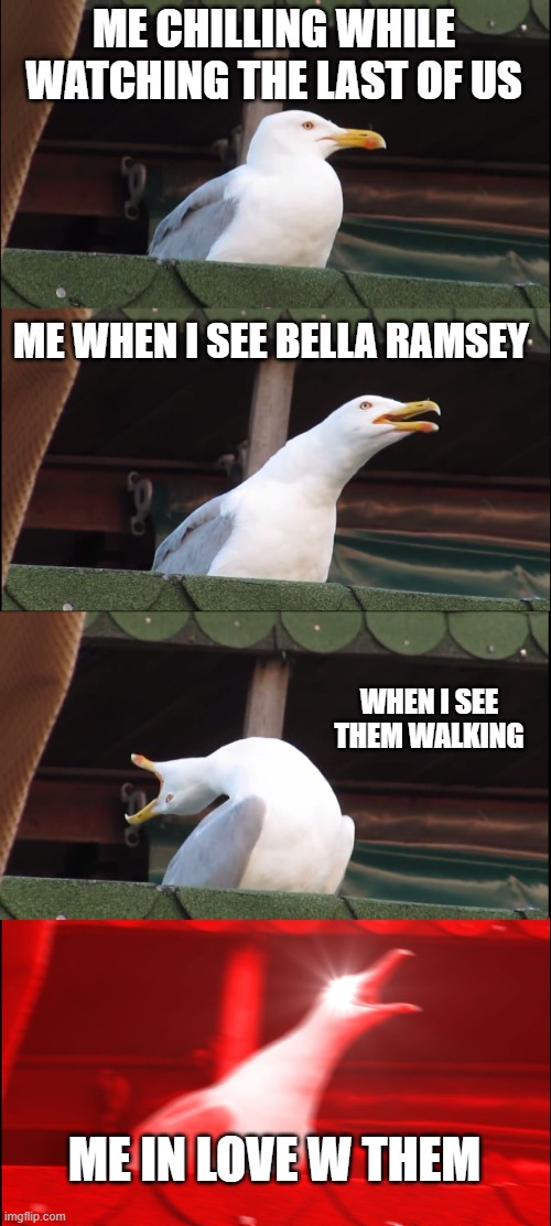 Inhaling Seagull Meme | ME CHILLING WHILE WATCHING THE LAST OF US; ME WHEN I SEE BELLA RAMSEY; WHEN I SEE THEM WALKING; ME IN LOVE W THEM | image tagged in memes,inhaling seagull | made w/ Imgflip meme maker