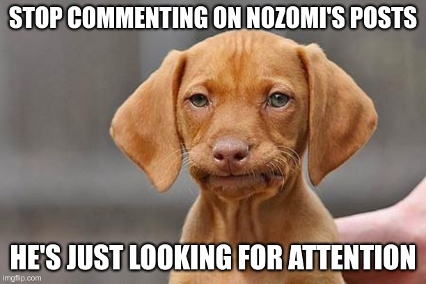 repost to spread message | STOP COMMENTING ON NOZOMI'S POSTS; HE'S JUST LOOKING FOR ATTENTION | image tagged in dissapointed puppy,fox news,bad pun dog,buff doge vs cheems,doge,dogs | made w/ Imgflip meme maker