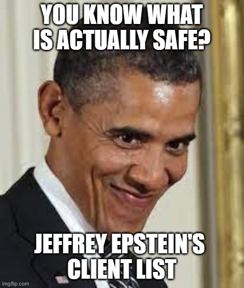 Smirky face | YOU KNOW WHAT IS ACTUALLY SAFE? JEFFREY EPSTEIN'S 
CLIENT LIST | image tagged in smirky face | made w/ Imgflip meme maker