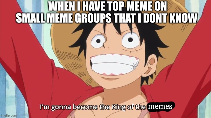 im gonna become the king of the pirates | WHEN I HAVE TOP MEME ON SMALL MEME GROUPS THAT I DONT KNOW; memes | image tagged in im gonna become the king of the pirates | made w/ Imgflip meme maker