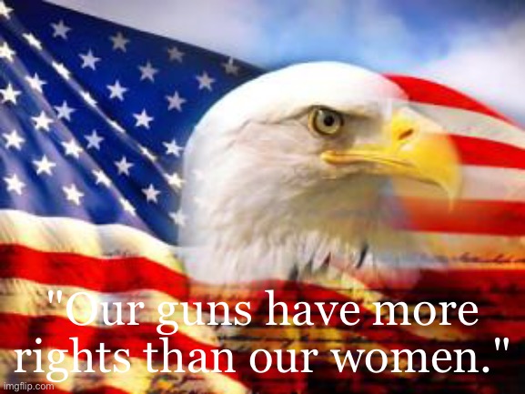 American Flag | "Our guns have more rights than our women." | made w/ Imgflip meme maker