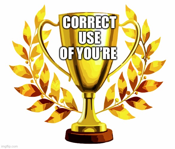 You Win! | CORRECT USE OF YOU’RE | image tagged in you win | made w/ Imgflip meme maker