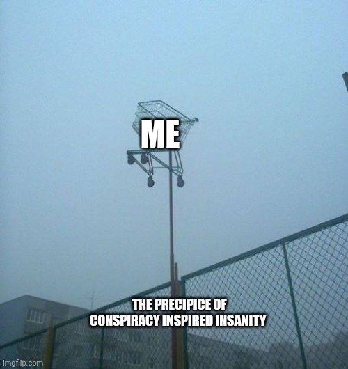 I'm about to fall off the precipice | ME; THE PRECIPICE OF CONSPIRACY INSPIRED INSANITY | image tagged in just how | made w/ Imgflip meme maker